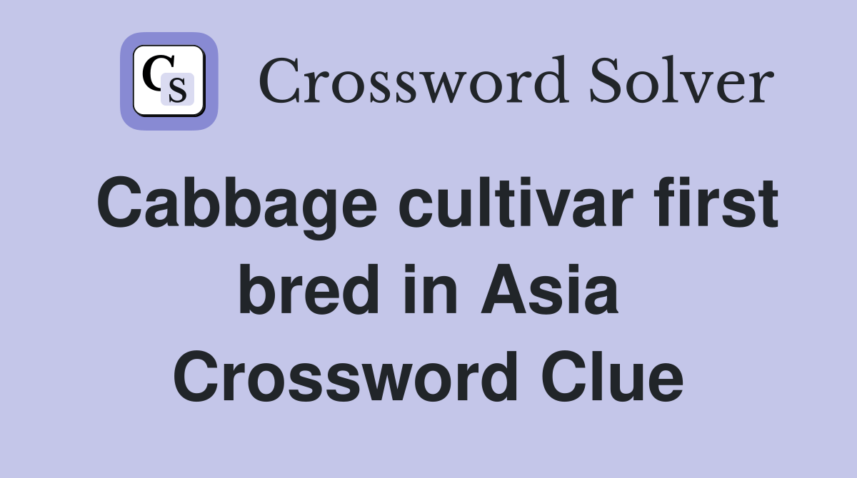Cabbage cultivar first bred in Asia Crossword Clue Answers